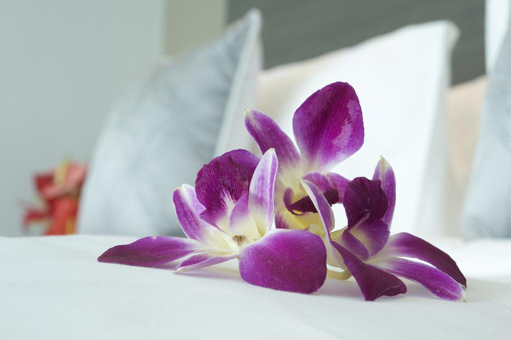 Hotel Pullman Kuching Exteriér fotografie